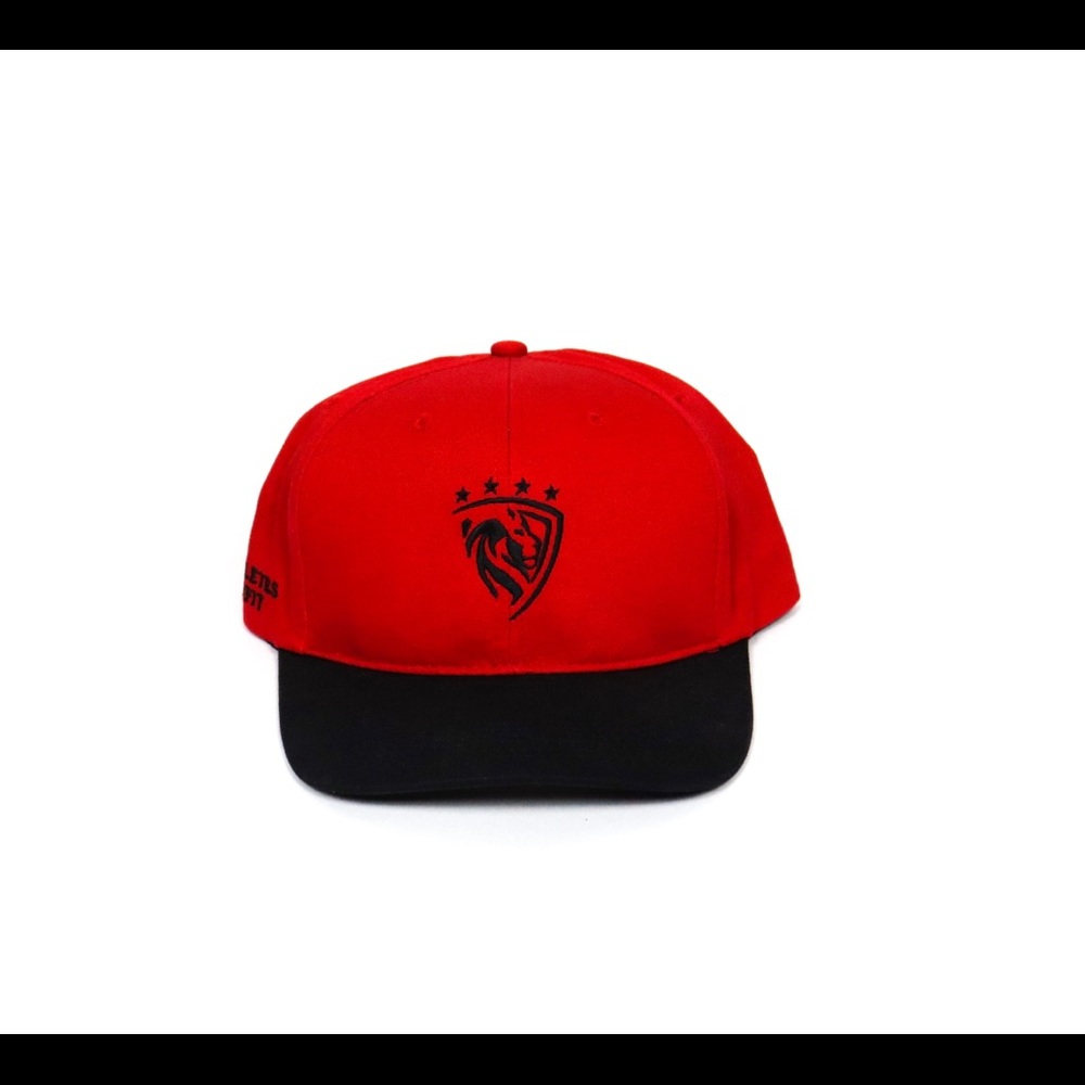 SnapBack hat